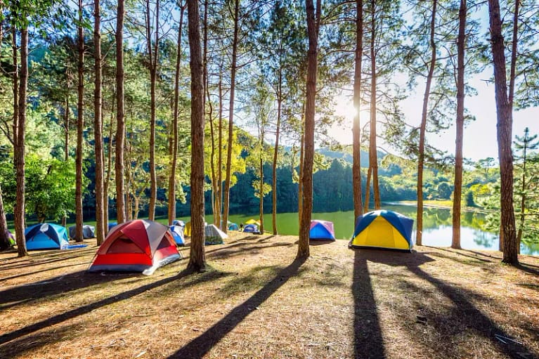 multi-colored tents camping under tree canopy beside a lake