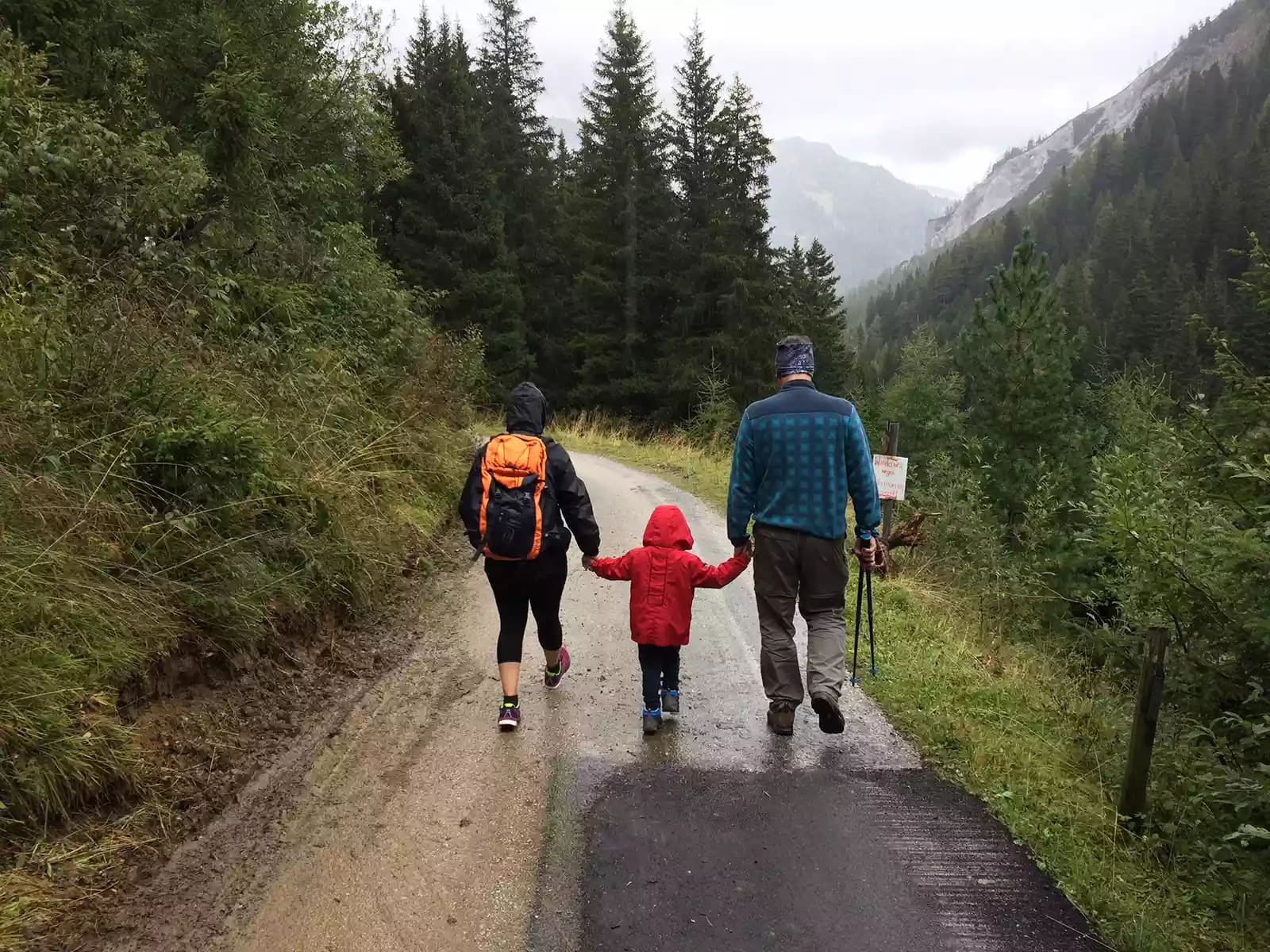 two adults holding toddler's hand hiking through forest