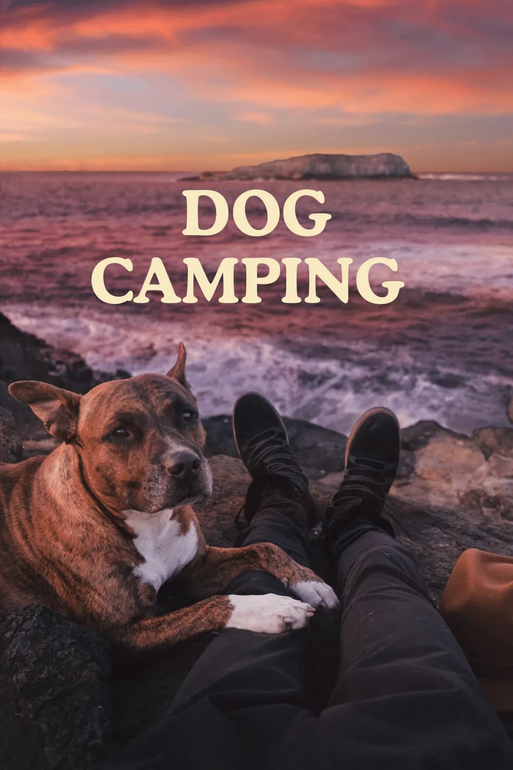 dog camping
