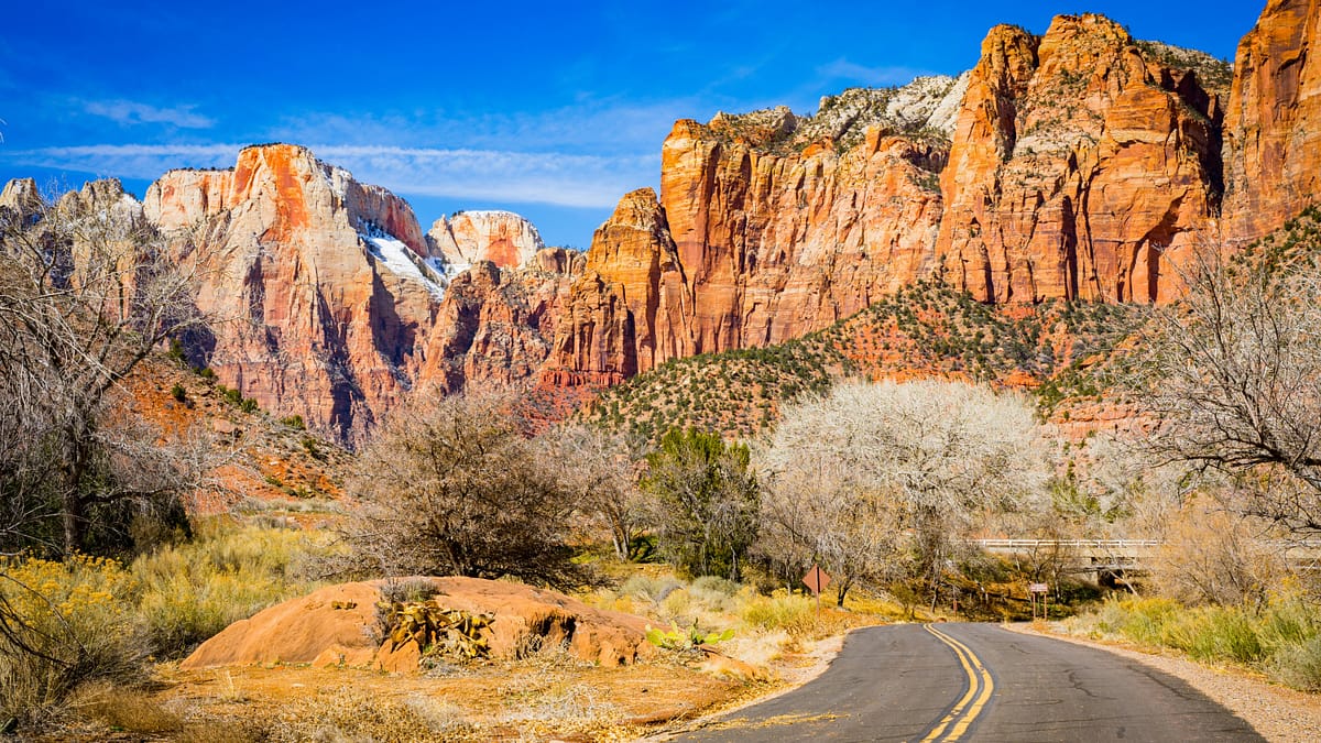 A road in Zion National Park showing the canyons, different trees, and a deep blue sky with hazy clouds on the horizon. Image by Taisia Karaseva.