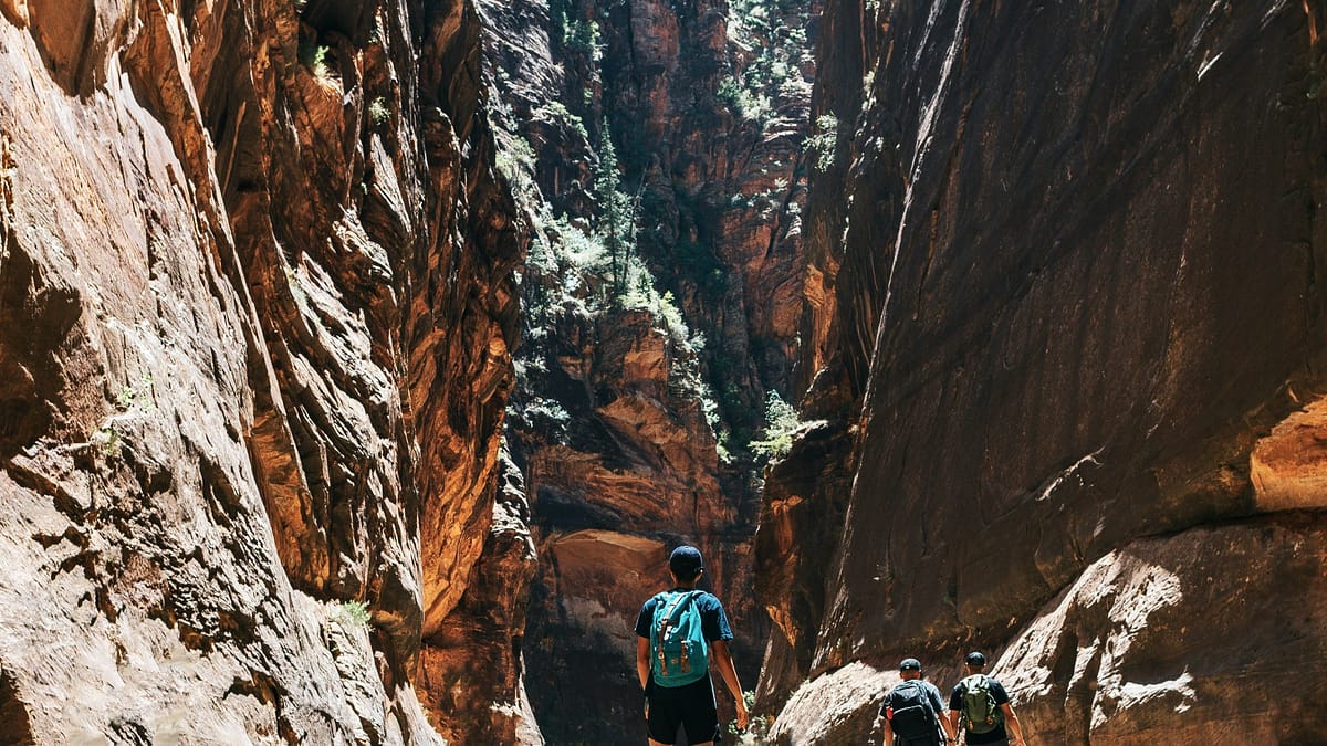 Three men hiking in the narrow cantons of Zion National Park in the summer, with the sun beating down on their hats -- photo by Dex Ezekiel.