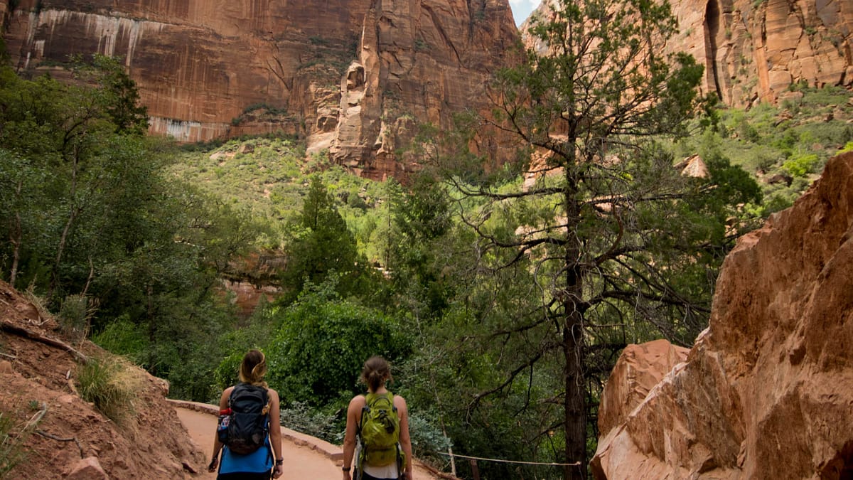 Two women hiking in Zion National Park amidst a beautiful, sweeping rocky landscape with Utah foliage. Photo by Frances Gunn.