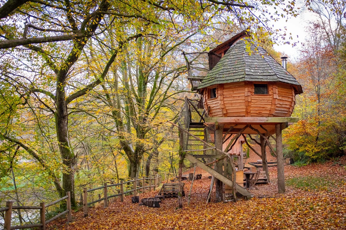 Unique Accommodations - Treehouse