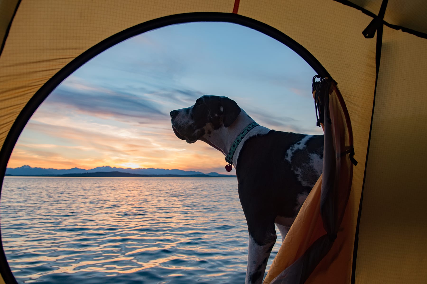 best beach camping in florida