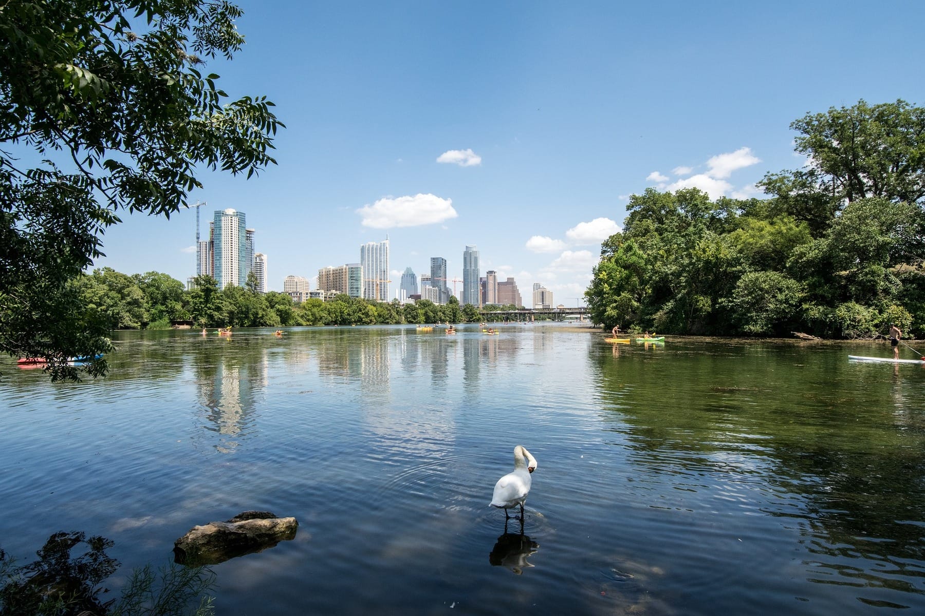 Image of lake and nature in Austin to convey the best RV camping in Austin - Book Outdoors