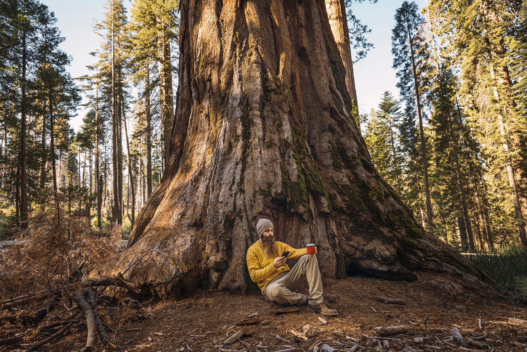 where to go camping in northern california