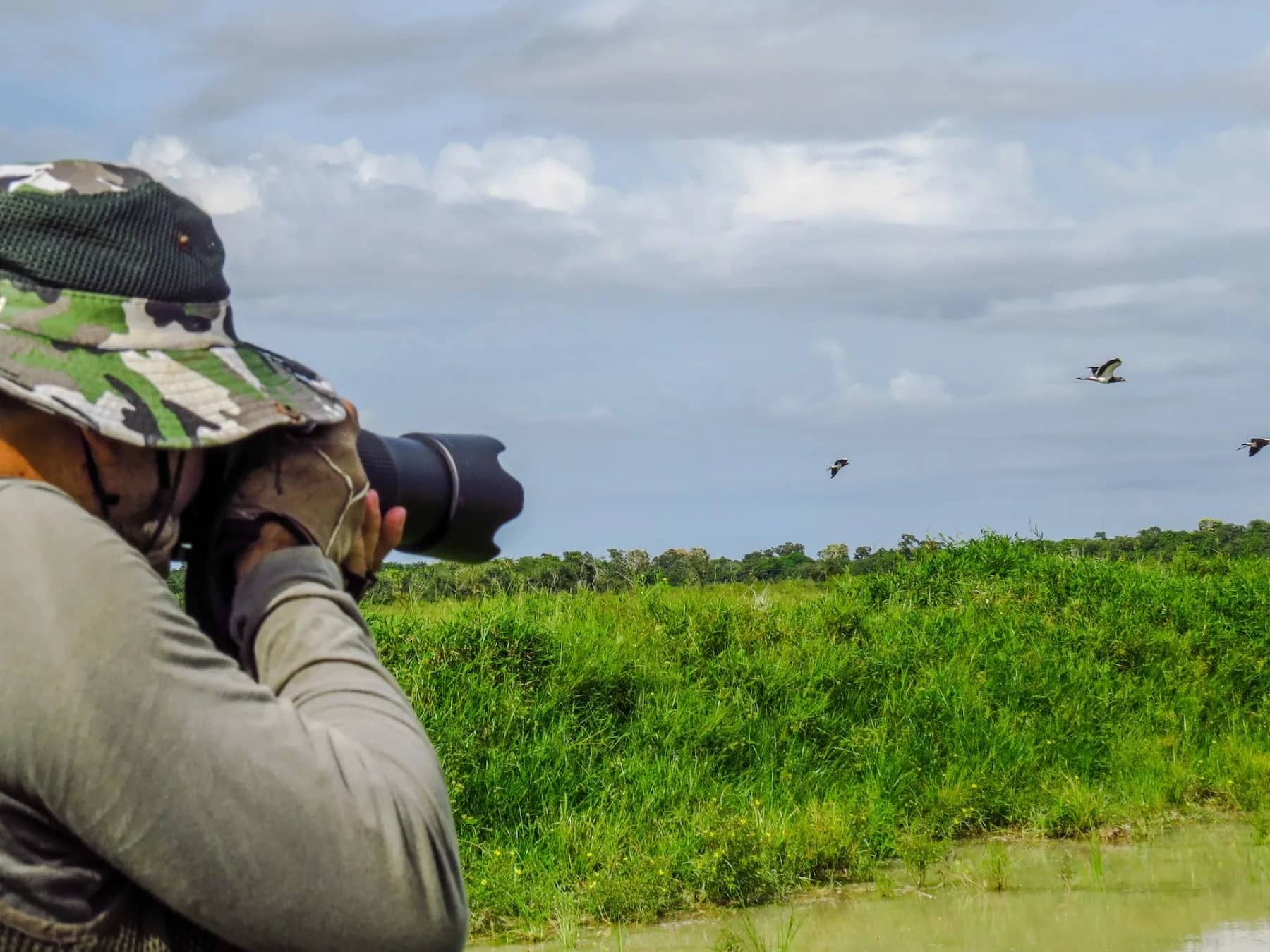 A man in a hat holding a camera takes photographs of birds flying over green wetlands, inspiring birdwatching for beginners