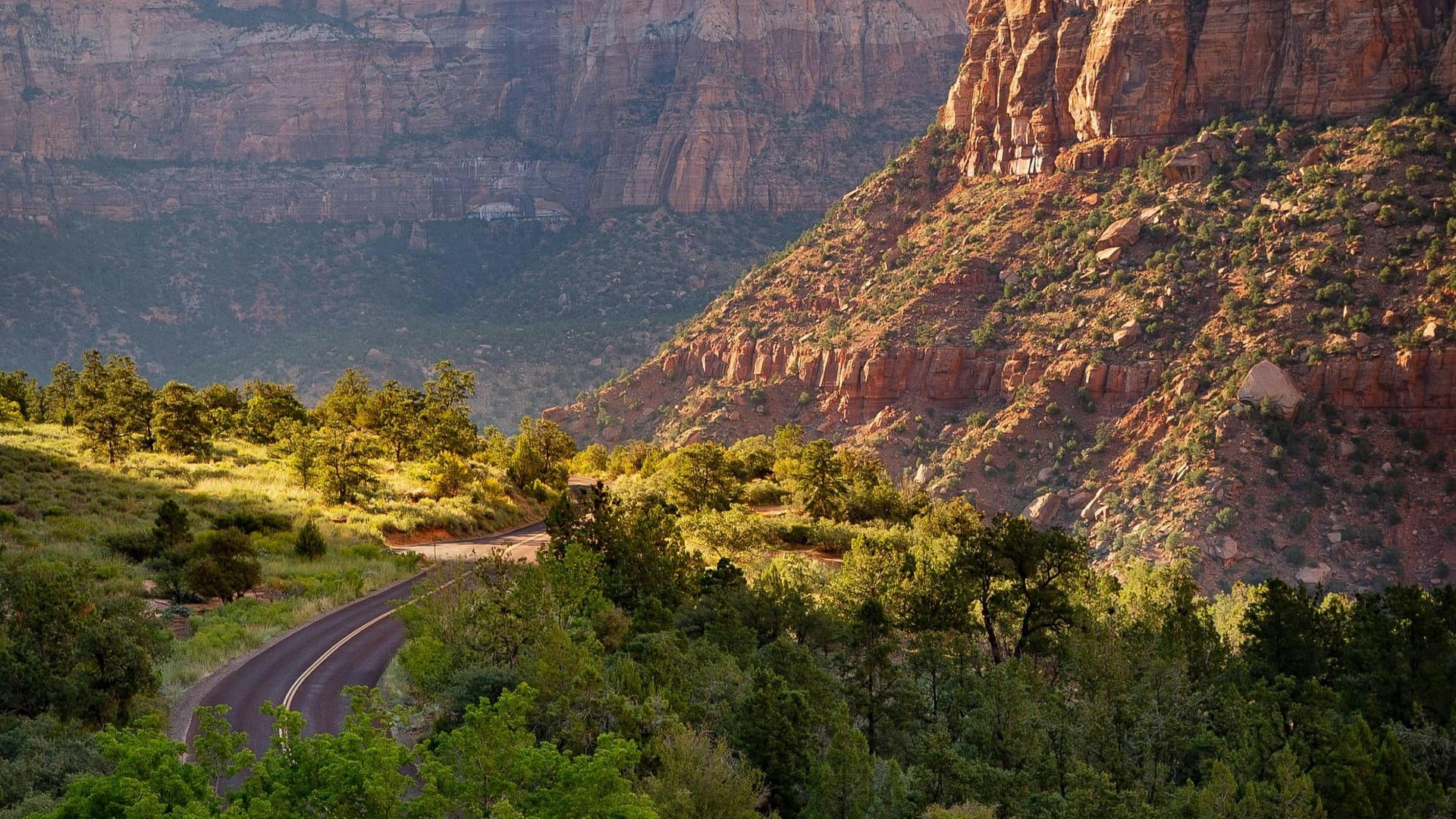 An empty curvy road going through a beautiful section of Zion National Park with lots of green vegetation and red rock formations. Photo by Feeltoep