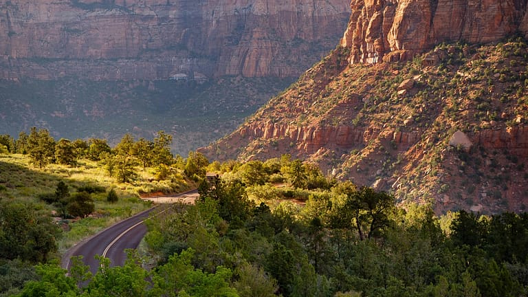 An empty curvy road going through a beautiful section of Zion National Park with lots of green vegetation and red rock formations. Photo by Feeltoep