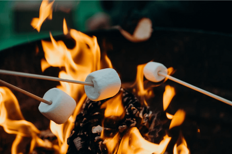 Campfire Foods