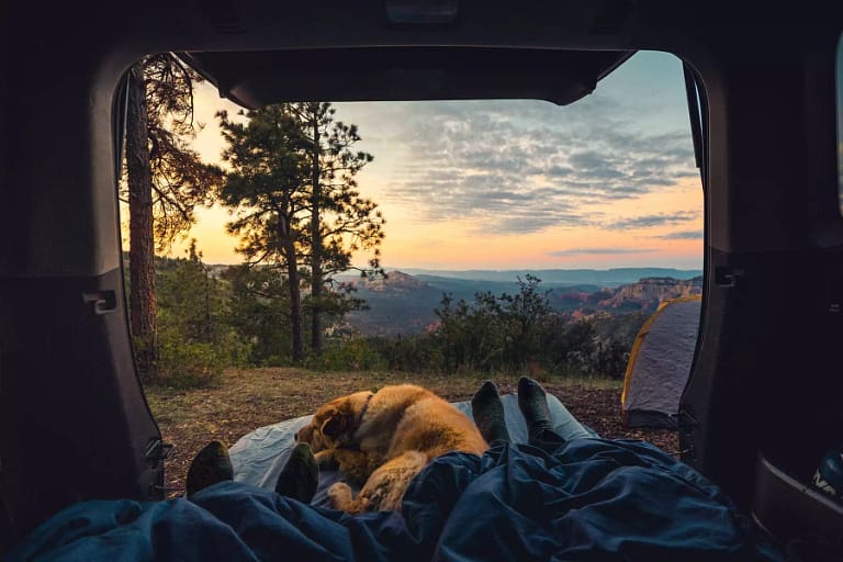 Camping with dog in Utah