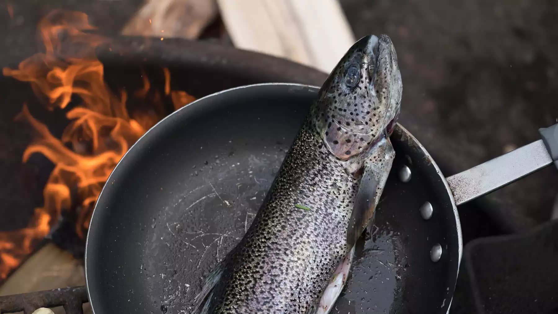 speckled trout in a frying pan over campfire