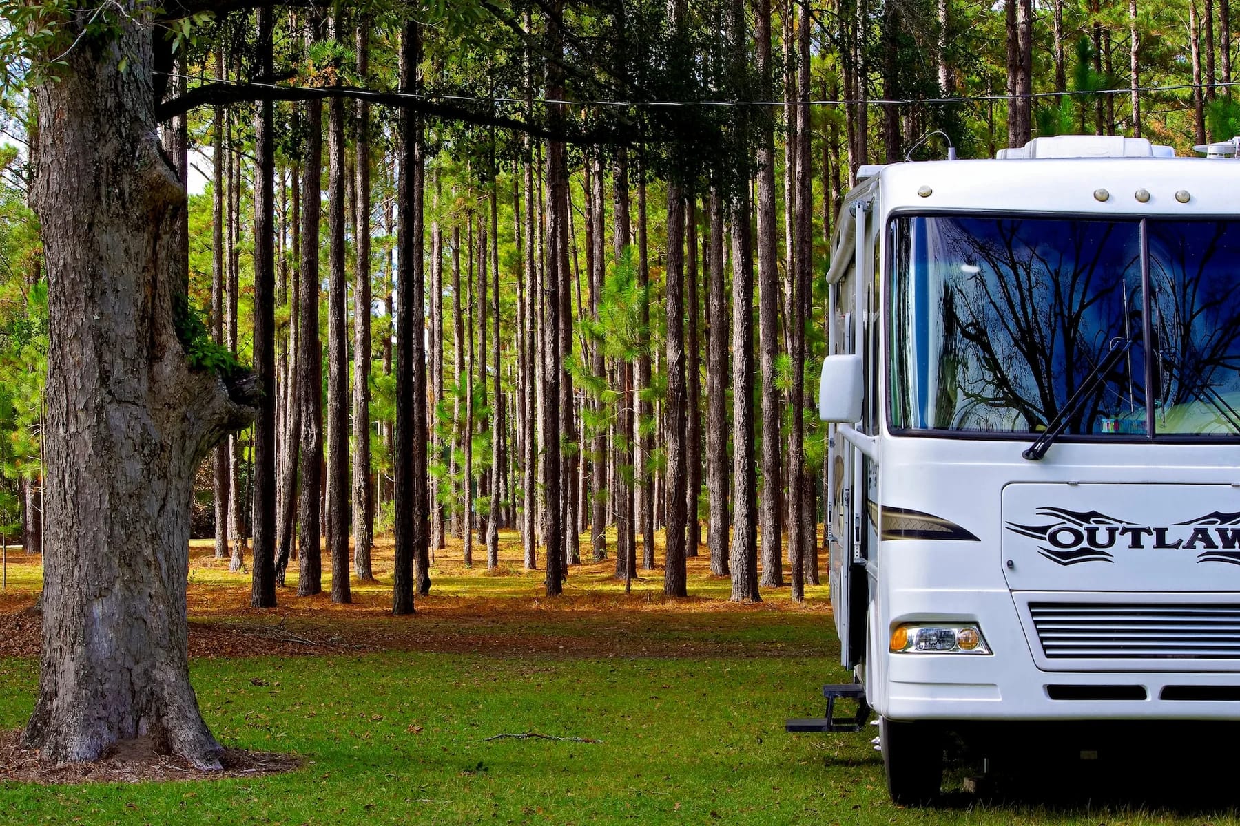 Image of a parked RV to convey storing your RV trees
