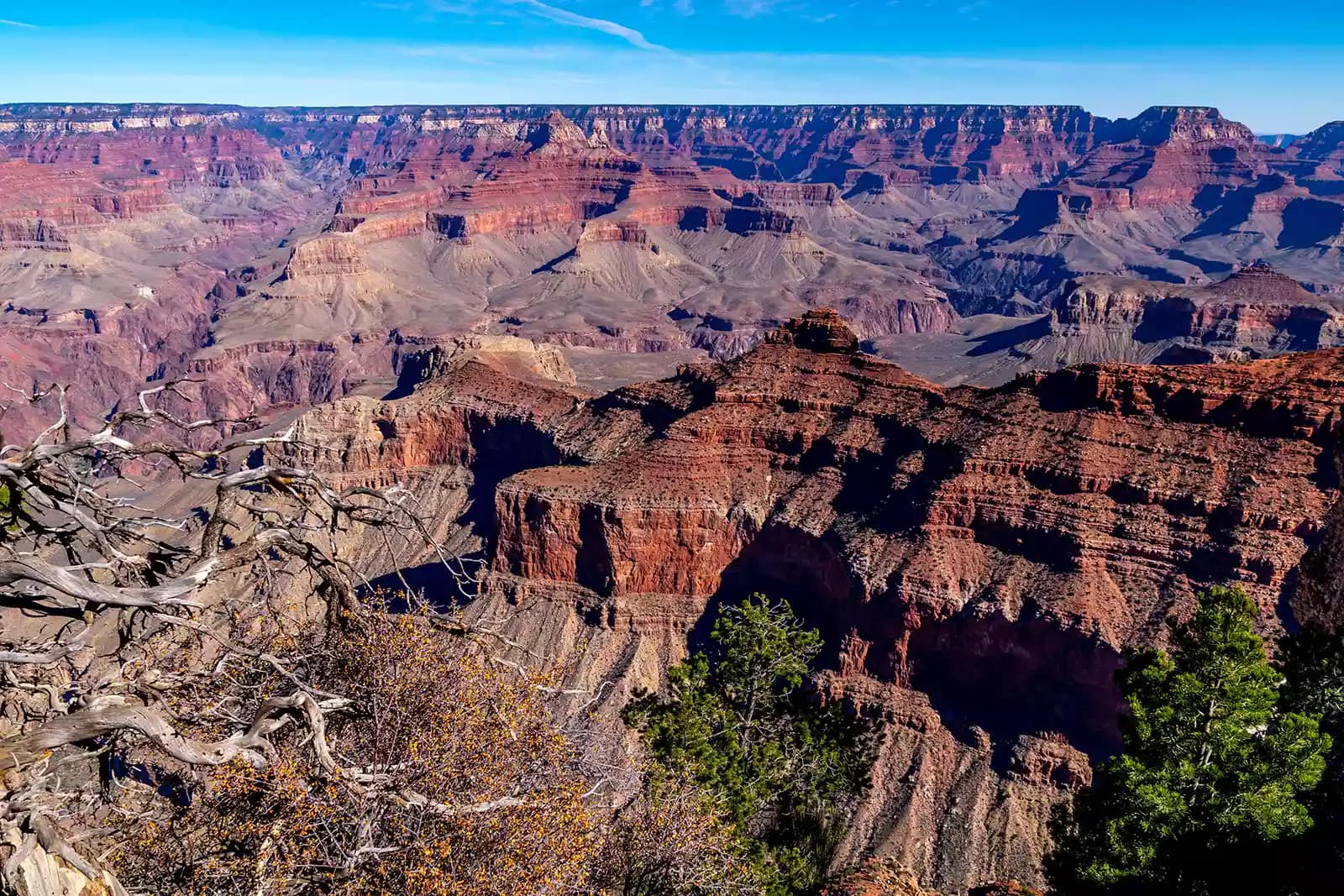 Arial image of Grand Canyon in Arizona