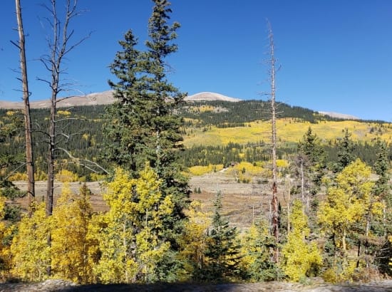 Lake-George-Cabins -RV-Park